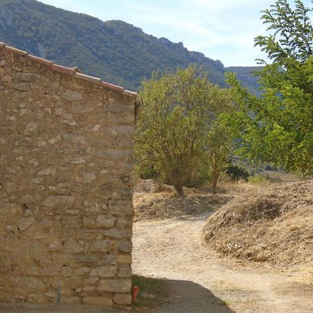 Chambre D'Hote Cucugnan Exterior photo